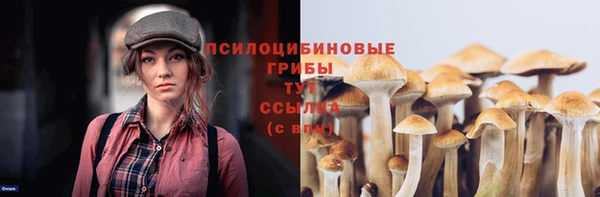 мяу мяу мука Арсеньев