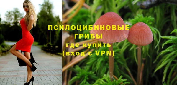 мяу мяу мука Арсеньев