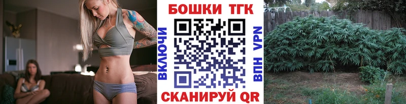 Бошки Шишки ГИДРОПОН  Асбест 